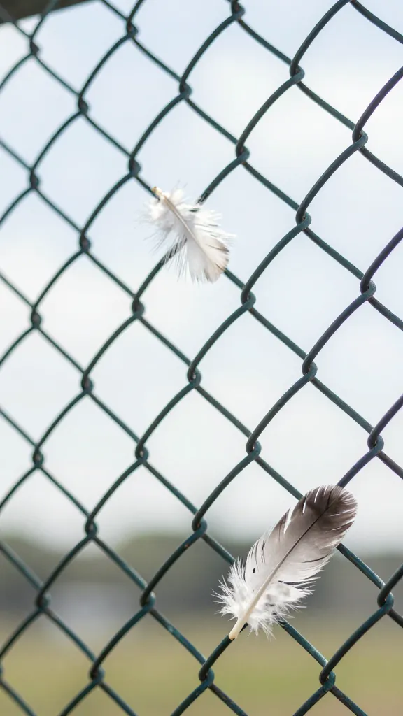 daylight-feather scatter against chain-link fence, detail